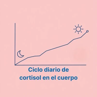 Gráfico del cortisol alto por las mañanas y bajo por las noches.