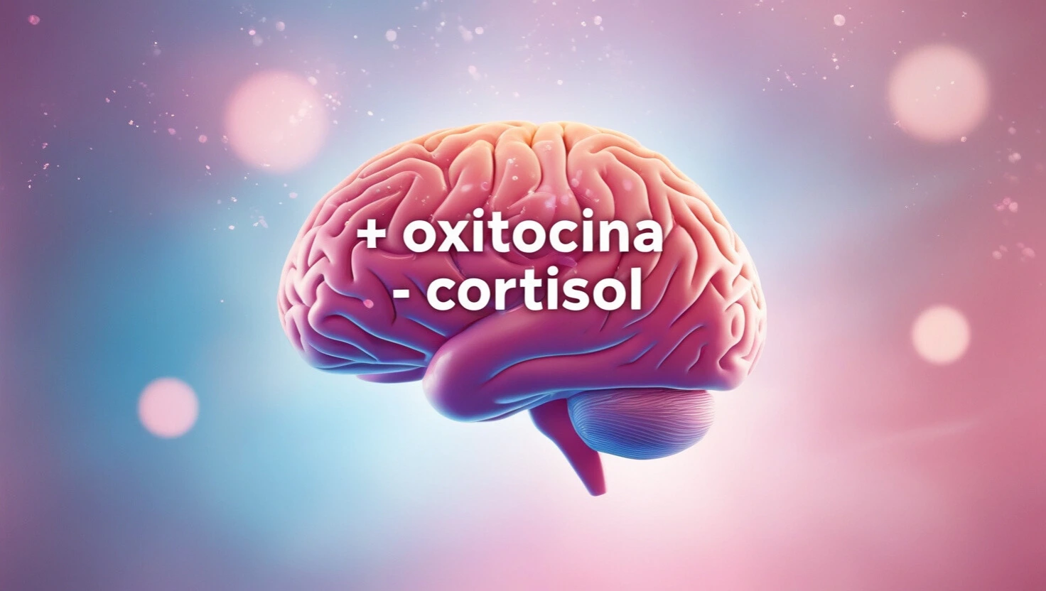 Ilustración de un cerebro humano con las palabras '+ oxitocina - cortisol' escritas dentro, sobre un fondo en tonos etéreos de rosa y azul, simbolizando el equilibrio entre estas dos hormonas y la reducción del estrés.