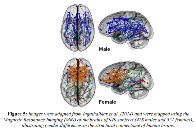 The cost of multitasking: A computer-assisted quantitative study of task-switching costs in speed and accuracy by age and gender