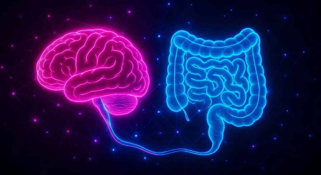 Ilustración del eje intestino-cerebro mostrando la conexión neuronal entre el cerebro y el intestino en tonos neón, destacando su influencia en el aprendizaje y la salud mental